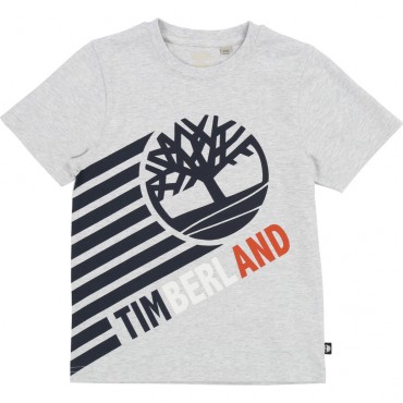 Ubrania dla chłopców, koszulka Timberland 002754.