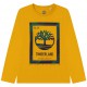 Musztardowa koszulka dla chłopca Timberland 005782 - A - bluzki dla dzieci i nastolatków