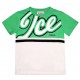 Biało-zielona koszulka chłopięca Iceberg 006041 - D - oryginalne t-shirty dla dzieci i nastolatków