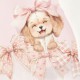 Sukienka niemowlęca Monnalisa Sweet Puppy C 39F901 6004 0190